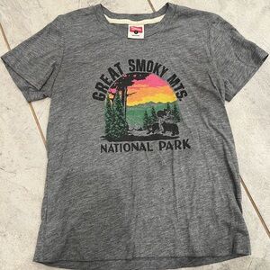 HOMAGE Gray Great Smoky Mountains Kids Tee